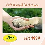 Singulares FlüssigMoor 500ml