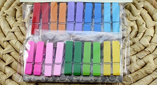 Raylinedo® Mini Peg Plain Small Natural Color 25mm Wooden Craft Clip with Metal Spring