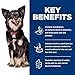 Hill's Science Diet Perfect Digestion, Adult 1-6, Digestive Support, Small Kibble, Dry Dog Food, Chicken, Brown Rice, & Whole Oats, 3.5 lb Bag