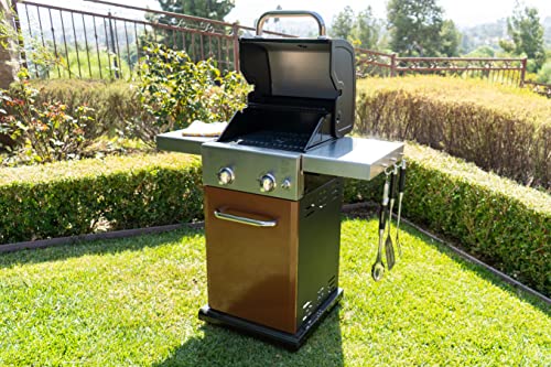 Permasteel 2-Burner Gas Grill | Cast Iron Cooking Grates, Grilling Tools Holder, Foldable Sides, Pg-A40201-Co, Cabinet Style, 22000 Btus – Copper #TOP2