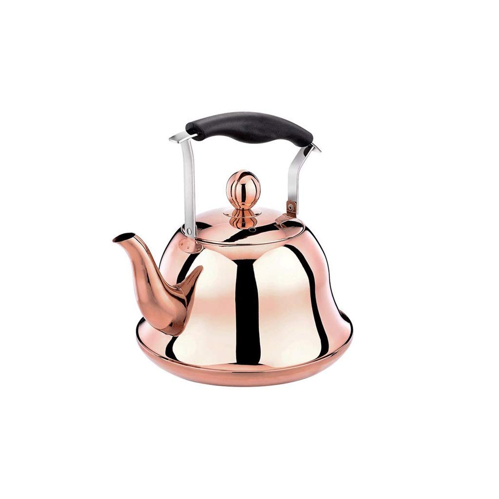 Bouilloire à thé café stovetop induction en acier inoxydable avec sifflet maison