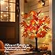 Ahornblatt Baum Licht mit 24 LEDs, Eukalyptus Blätter Baum Lichter Herbst Deko, Lichterbaum mit Timer 61cm, Herbstblätter Lichterbaum, Herbstdeko Blätter Lichterketten Warmweiß für Halloween Kürbis