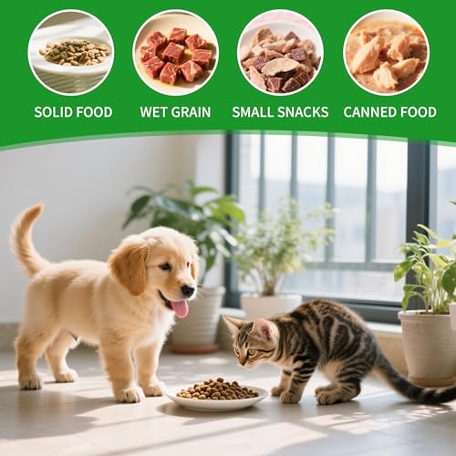 BUCOMTU Katzennapf Keramik, 4 Stück Katzennapf Flach, Futternapf Katze, Flacher Napf, Spülmaschinenfest Katzenteller, Lindert die Ermüdung der Schnurrhaare, Katzenschüssel für Katzen und Welpen (4)