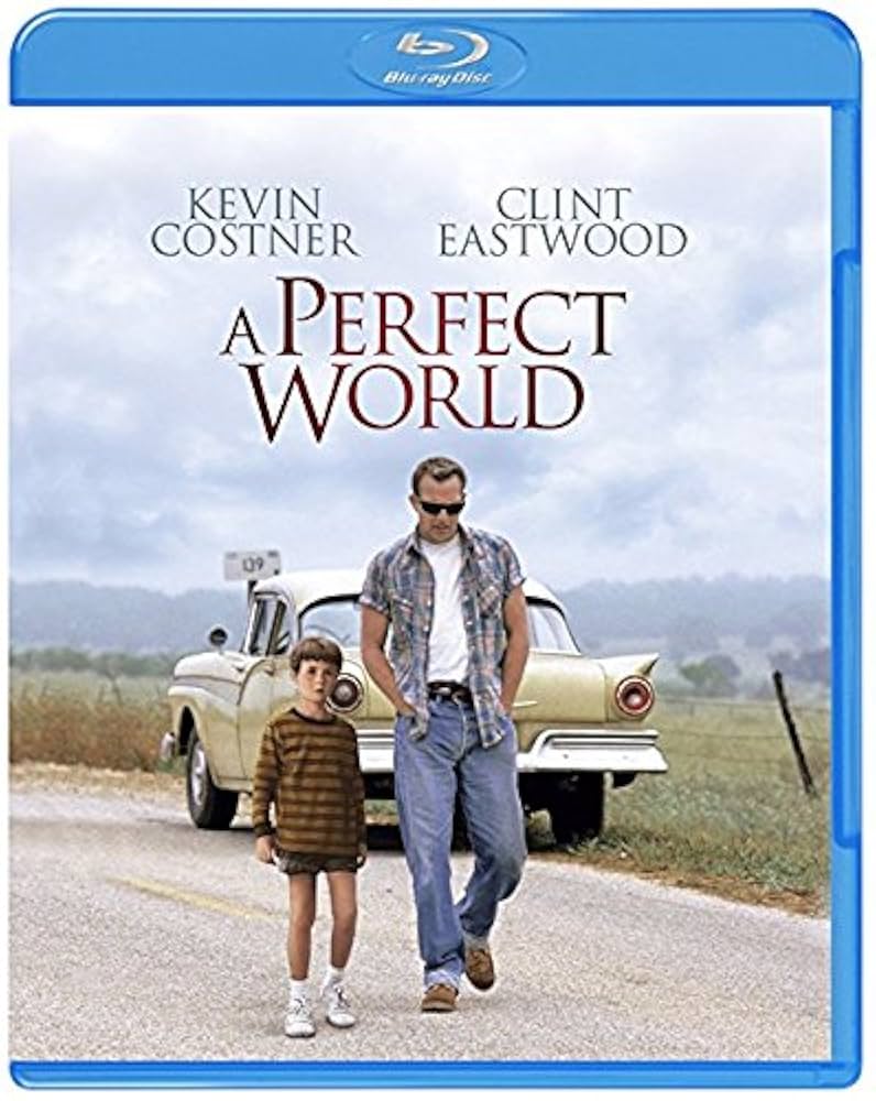 【全5巻】 パーフェクトワールド DVD 全巻セット Amazon.co.jp: パーフェクトワールド [レンタル落ち] 全5巻