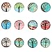 24 Pieces Beautiful Glass Refrigerator Magnets, Pretty Tree Fridge Magnets for Office Cabinet Refrigerator Whiteboard Photo