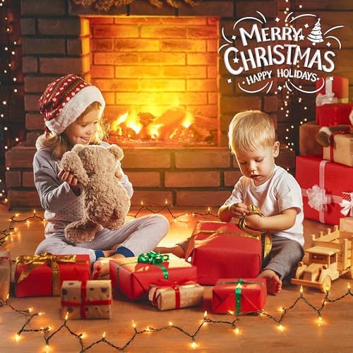 YOUNGAR Christmas Lights, Clear Outdoor Lights,2 Pack 23FT 100 Green Wire Light Connectable Incandescent Mini Light, Approved Tree Lights for Xmas Home Patio Holiday Party Garden Decor(Warm White)