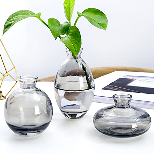 EylKoi Bud Vases Glass Mordern - Image 4