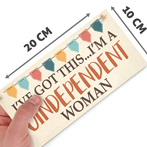 I've got This ... I'm a Gindependent Woman - Gin & Tonic Bunting Design Wooden Sign - Image 2