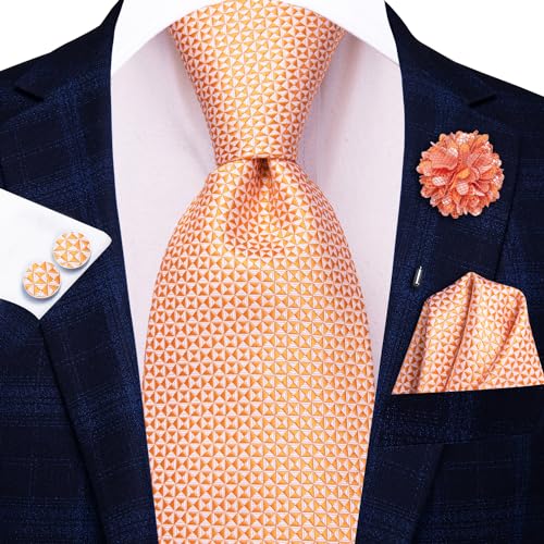 Image of Hi-Tie Mens Paisley Floral Striped Ties Set Silk Necktie and Lapel Pin for Men Pocket Square Cufflinks Set Business Wedding