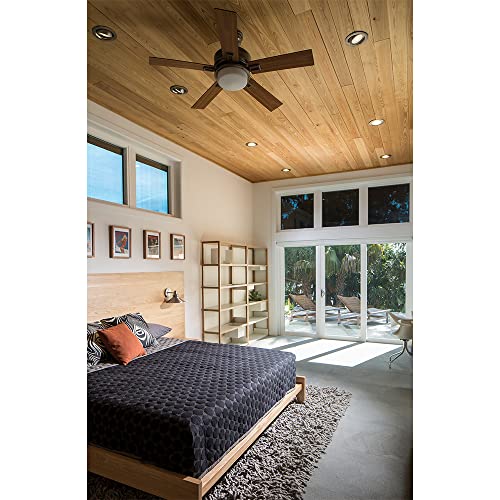 Halo Rl 5 In. And 6 In. Tuscan Bronze Recessed Lighting Retrofit Replaceable Trim Ring #TOP2