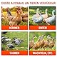 6 Stück Hühnertränke, Geflügeltränke Automatische, Gravitationsinduktivität, Tränke Hühnerzubehör, Wasserspender-Set mit Bohrer für Huhn,Gans,Pute,Ente,Taube