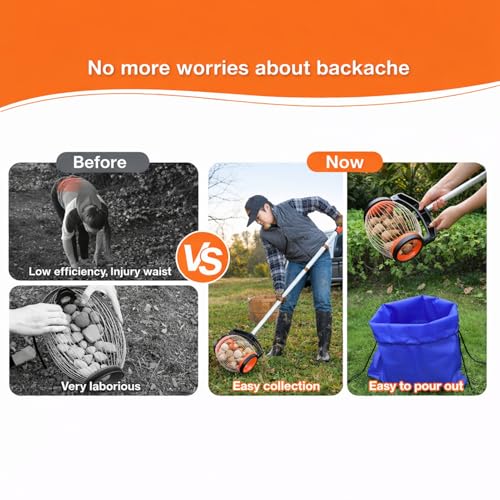 Recolector manual ajustable para nueces y bellotas miniatura 4