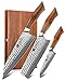 XINZUO Japanisches Damaststahl Küchenmesser Set 3er, profi scharf Chefmesser Set Damaskus Pulverstahl Kochmesser Nakirimesser Universalmesser -Desert Ironwood Griff-mit Akazienholz Geschenkbox