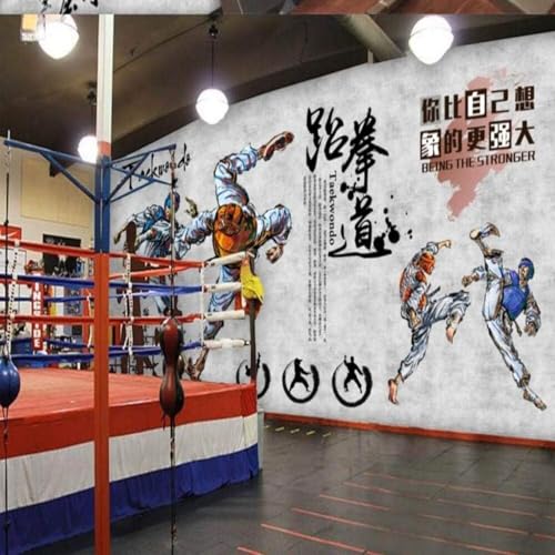 Papel Pintado de Taekwondo para Gimnasio en Casa y Zona de TV 3