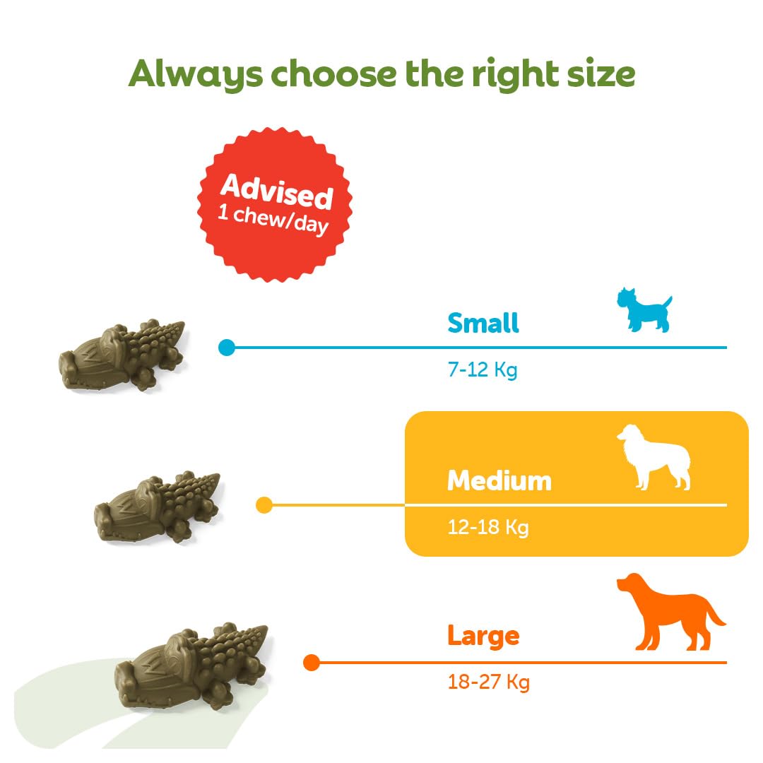 WHIMZEES Alligator M, 12 Pieces – Dog Dental Stix, Size M, Dog Dental Sticks for Medium Breeds, Natural and Grain Free, Rawhide-Free, Vegetarian, No Added Sugar