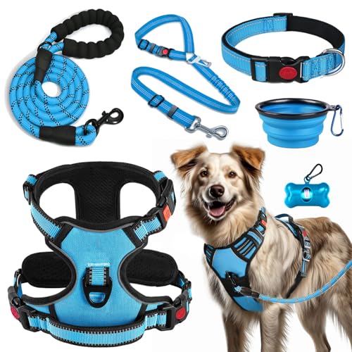 No Pull Dog Harness, Collar & Leash Set | Includes Dog Seat Belt, Collapsible Bowls & Poop Bag Dispenser. Ideal for Training, Walking, Hiking. Fits Small to Large Dogs(Blue-L)