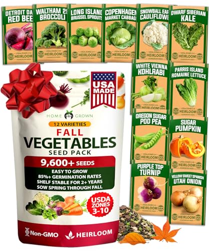 Image of HOME GROWN 12 Fall Vegetable Seeds 9600+ Heirloom Non-GMO, High Germination, Cold Hardy Frost Tolerant Cool Season Garden, Beets, Kale, Cabbage, Peas, Broccoli, Lettuce, Onions (12 Varieties)