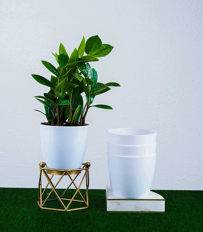 DWYNIX Set of 4 Planters Plastic White 14CM, Made in India Modern Round Flower Pot Indoor Nursery Bonsai Plant Pot for Garden House Plants, Aloe, Herbs and More, Plants & Drainage Tray Not Included (B0BQN28VTQ) Amazon Price History, Amazon Price Tracker