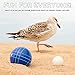 Franklin Sports Bocce Sets - Regulation Bocce Balls and Pallino - Beach and Lawn Bocce Set for Adults - Advanced, 90mm