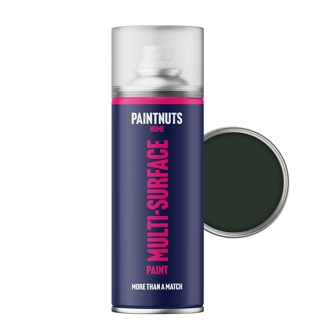 Paintnuts Dark Green (Ral-6009) Rapid Dry Metal Paint, Matt Finish 400Ml Aerosol
