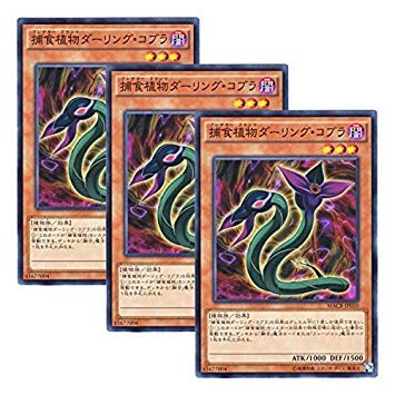 Amazon.co.jp: 【 3枚セット 】遊戯王 日本語版 MACR-JP010 Predaplant
