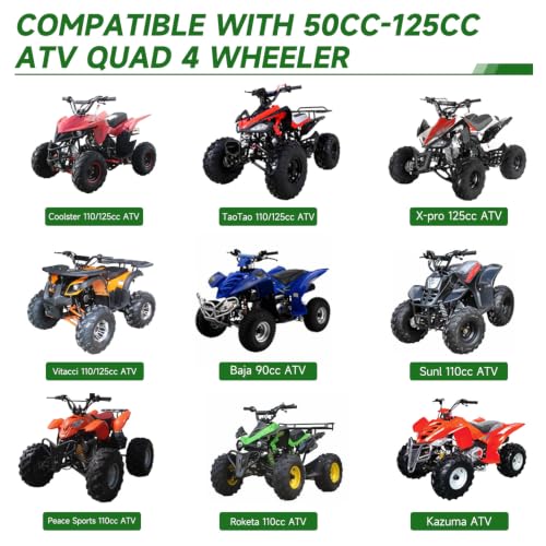 Image of PZ20 Carburetor & Starter Motor for Tao tao 110cc Coolster 125cc ATV