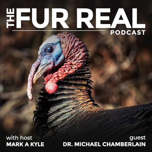 『"WILD TURKEYS: SCIENCE AND STORIES" with Dr. Michael Chamberlain』のカバーアート