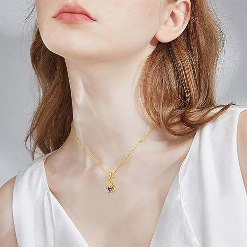 LONAGO Infinity Urn Necklace for Ashes, Sterling Silver/Gold Plated Birthstone Infinity Cremation Jewelry Gift Keepsakes Locket Necklace for Women Men Pet Human Ashes4