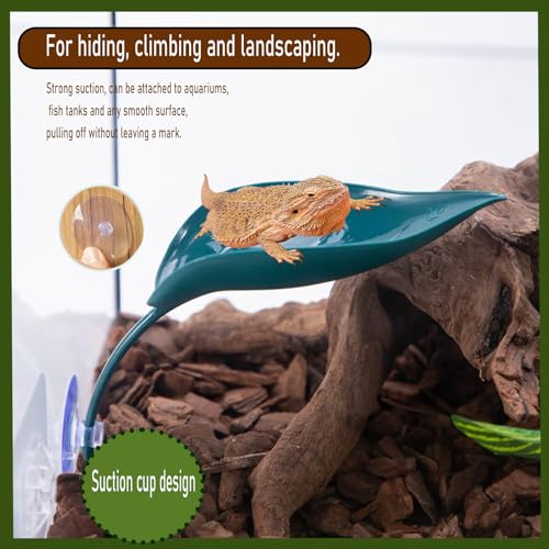 Image of 3pcs Crested Gecko Hide，Wall Climbing Gecko Toy，Reptile Leaf，Crested Gecko Tank Accessories，Turtle Tank Decorations，Tree Frog Terrarium Accessories (Grass Green)