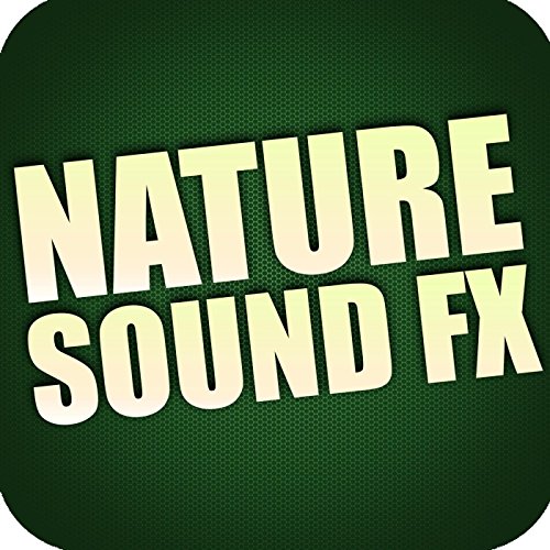 Nature Sound Effects Royalty Free Sound Effects Factory