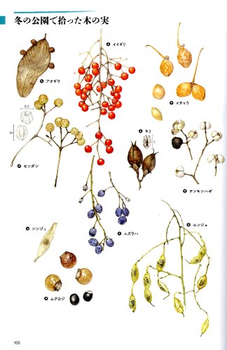 参考図書 おすすめ本 身の回りの自然観察 植物図鑑