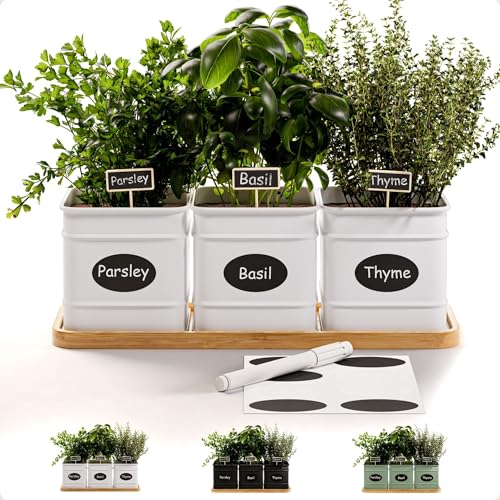 Herb Planter Indoor - 3 Iron Herb Pots with Drainage...