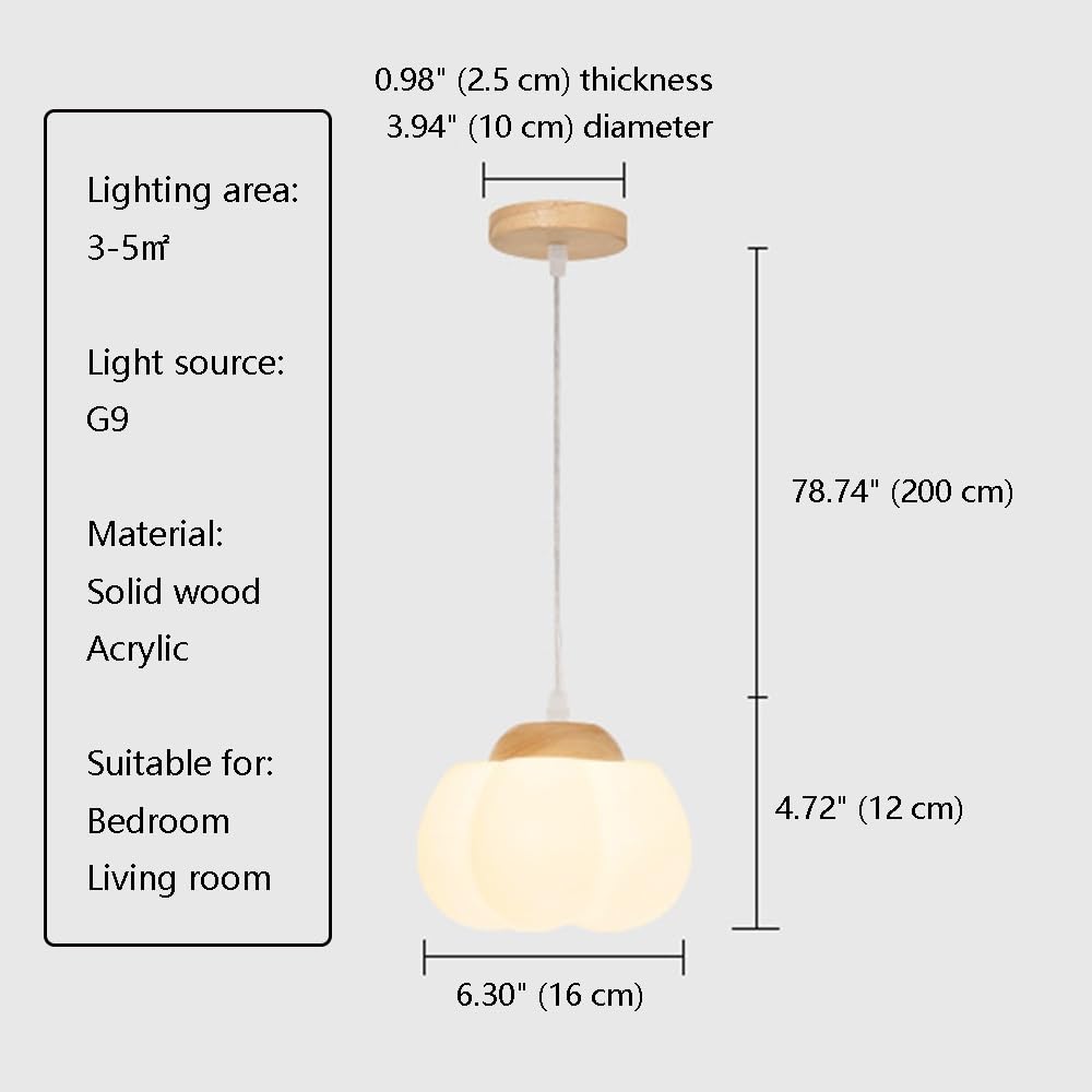 Suspension En Acrylique, Lampe Suspendue En Forme de Fleur de Bois G9