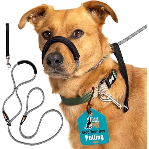 Total Pet Figure of 8 Dog Lead with Padding Cover