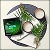 Botanic-Hearth-Tea-Tree-Hair-Mask-Deep-Conditioner-Moisturizes-Protects-Hair-Scalp-with-Soy-Protein-Vitamin-E-Collagen-Keratin-Coconut-Oil-16-oz-Packaging-May-Vary Botanic Hearth Tea Tree Hair Mask & Deep Conditioner, Moisturizes & Protects Hair & Scalp - with Soy Protein, Vitamin E, Collagen, Keratin & Coconut Oil - 16 oz (Packaging May Vary)