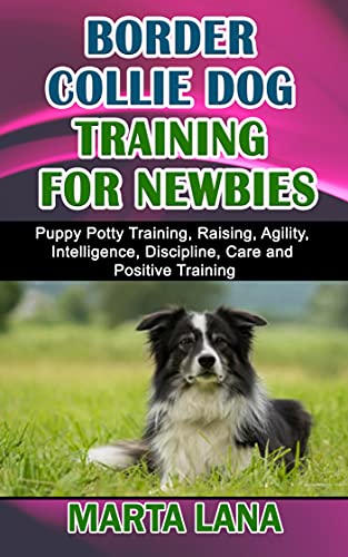 border collie potty training