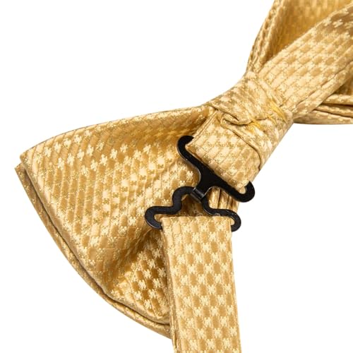 Image of Dubulle Mens Paisley Striped Bowtie Set Pre-tied Bowtie for Men and Pocket Square Set Wedding Business