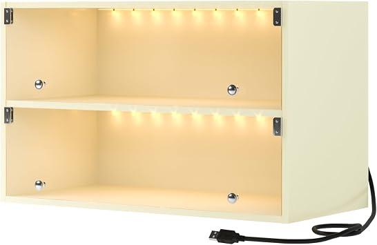 Shoe Box with RGB LED Light, Wooden Stackable Shoe Storage Box with Flip Glass Door, 2 Tiers Shoe Organizer Storage Box Shoe Storage Bin Shoe Display Case for Sneakers Off White, 2 Tier