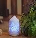 KOKO AROMA Essential Oil Diffuser Aromatherapy Humidifier: Best Floral Ceramic Infuser 120mL 7 Color LED NightLights Cool Mist Air Defuser Auto Shut-Off for Home Office Bedroom Baby Yoga