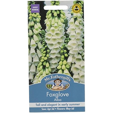 Mr. Fothergill's Elegant White Foxglove Seeds Cover
