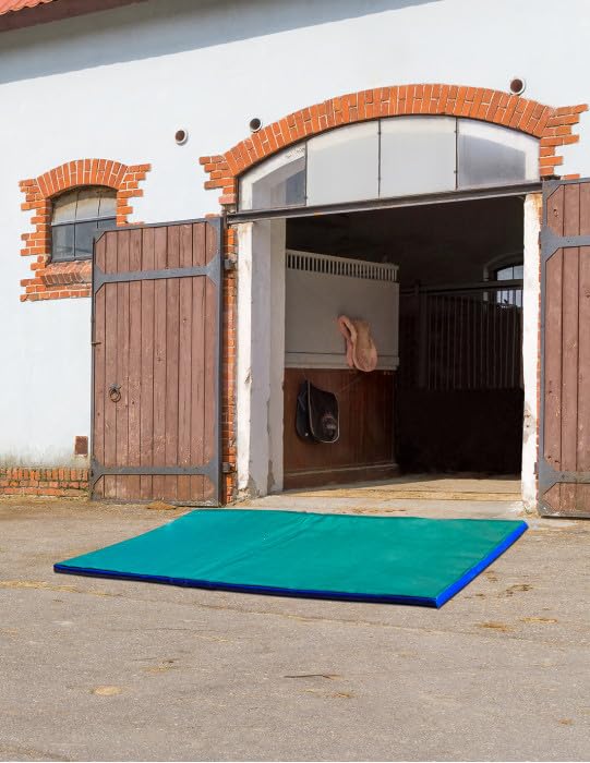 PROS Tapis de désinfection pour chaussures Tapis de désinfection des semelles de chaussures Tapis de sol d'entrée
