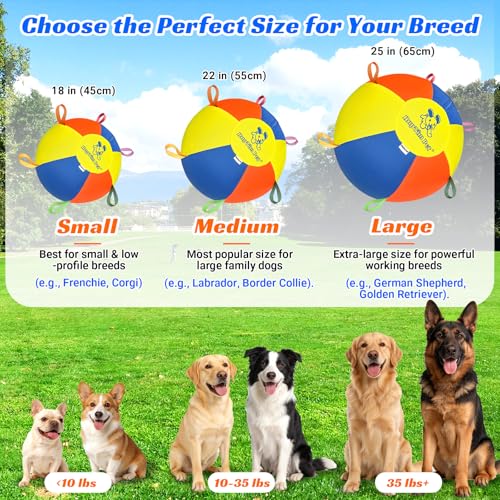 Hap Tim Upgraded 25" Heavy-Duty Herding Ball for Dogs Large with Nylon Tabs by Hap Tim - Image 2