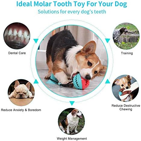 Dog Toy Ball,Suction Cup Dog Toy,Puppy Treat ball,Pet Molar Bite Toy,Pet Chew Ball Toy Cleaning Teeth Multifunction Interactive Toys puppy toys from 8 weeks