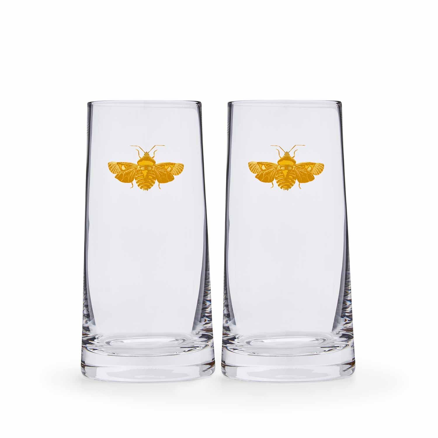 Spode Creatures of Curiosity Collection Highball Glasses Set of 2, 15-Ounce, Glass Cups for Water, Juice, and Cocktails, Bar Glasses, Tall Drinking Glasses