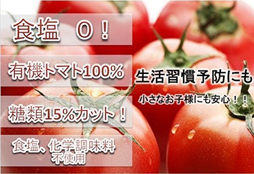 減塩セット 無塩 有機トマト ケチャップ 2本セット