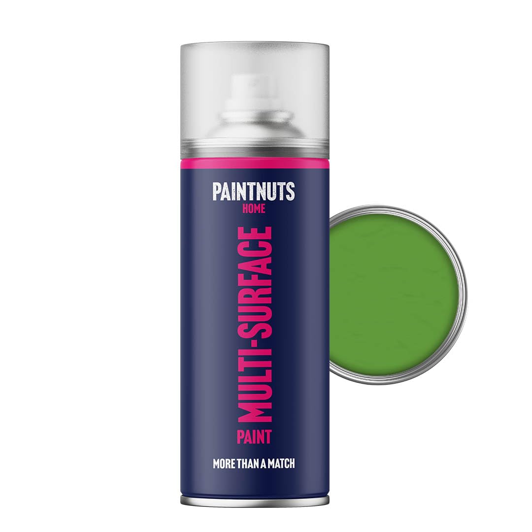Paintnuts Light Green (RAL-6018) Rapid Dry Metal Paint, Gloss Finish 400ml Aerosol