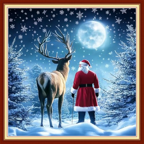 Image of Funchey Stamped Cross Stitch Kits, DIY Cross Stitch Pattern for Adults Beginners Needlepoint Kits Embroidery Kit Arts and Crafts 11CT&Santa Claus Snow Scene 18x18 inchs