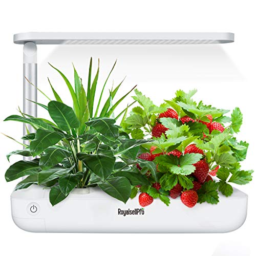 Hydroponics Growing System, Table Garden, Plant Germination Kits,Indoor Hydroponics Growing Nutrients Pot Suitable