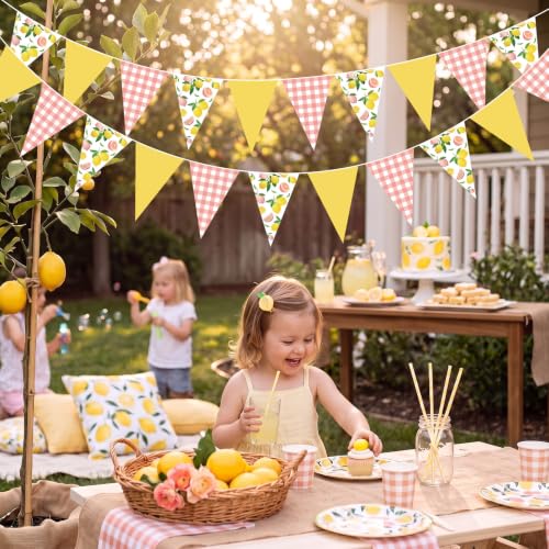 Image of Faccito 5 Pcs Lemon Pink Gingham Pennant Banners Summer Wedding Decor