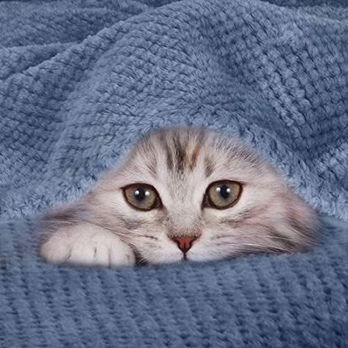 Couvertures solides décoratives légères en peluche de qualité supérieure